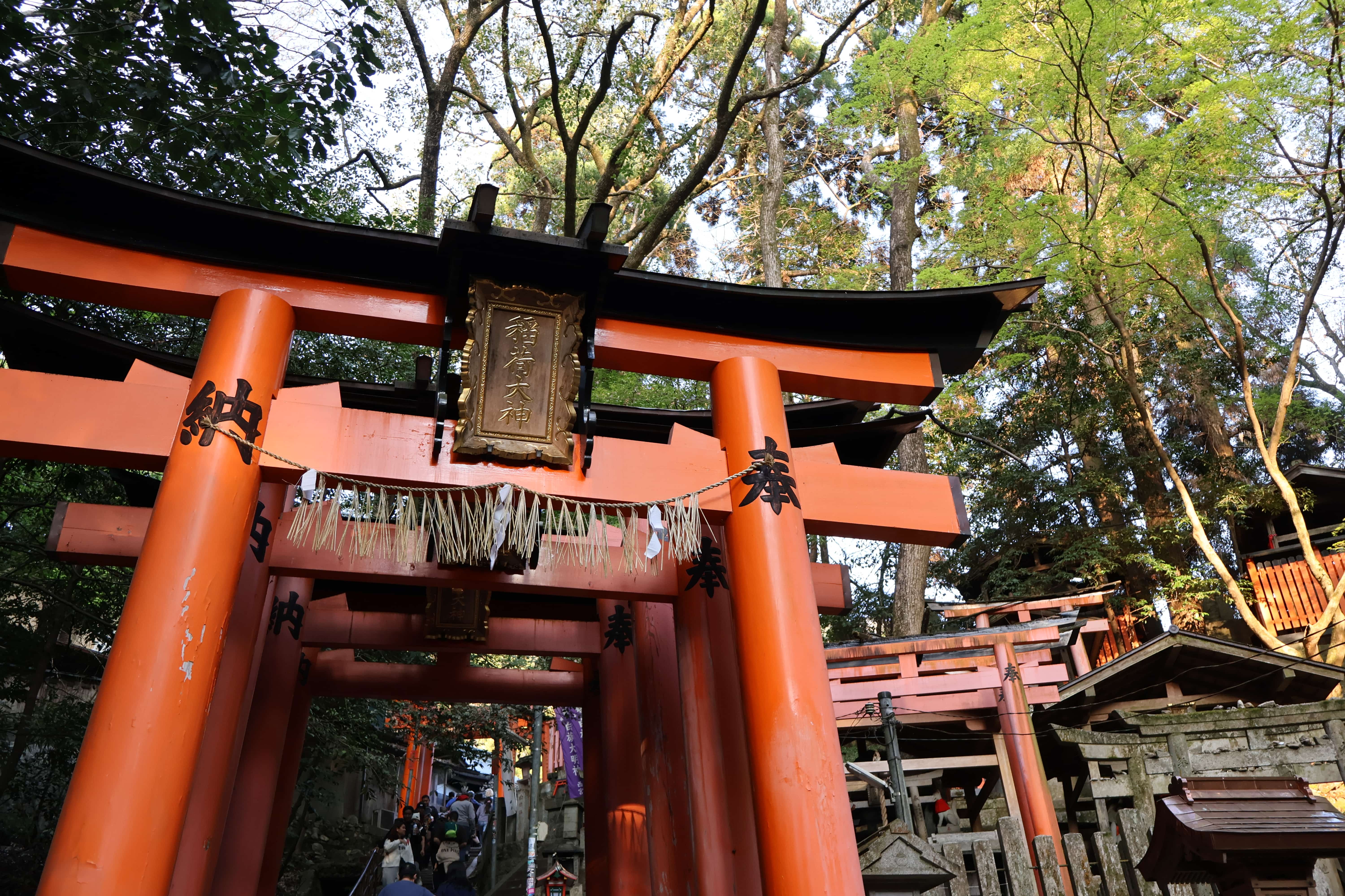 FushimiInari FushimiInari